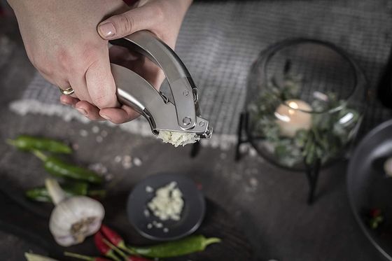 فولاد ضد زنگ معقول سیر خرد کردن زنجبیل Grater دستگاه های آشپزخانه Multi Kitchen Grater